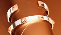 国内新品 エルメス 藤原ヒロシ ミニクルー クルー・ドゥ・H バングル　LG