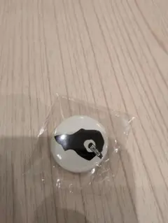 ザ・クロマニヨンズ 