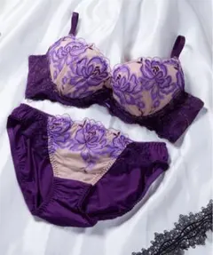 ドゥレリア　ブラショーツ　セット