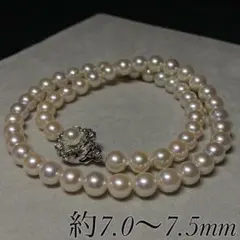 【テリ最強】アコヤ真珠 ネックレス 約7.0～7.5mm SILVER刻印