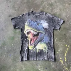 00s THE MOUNTAIN ザ マウンテン Tシャツ 恐竜 ダイナソー - メルカリ