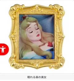 Disney Princess Canvas Ring オーロラ姫