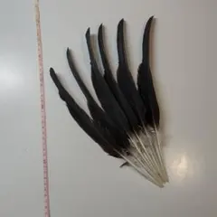 ☆HARDY サーモンフライ 3種セット ウッド台付き☆ - メルカリ