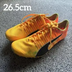 puma evo power プーマ EVO パワー 左右非対称 - メルカリ