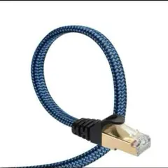 LANケーブル　インターネットケーブル (ブルー・1m)