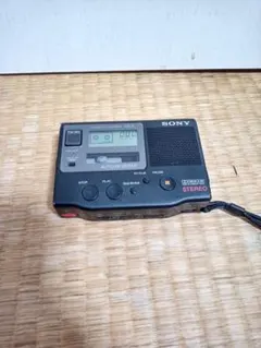 Item thumbnail for item 9f04c359-7e71-404c-aeac-73db723fa905