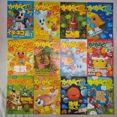 かがく組2年生　12冊セット　2024年度　進研ゼミ小学講座チャレンジ