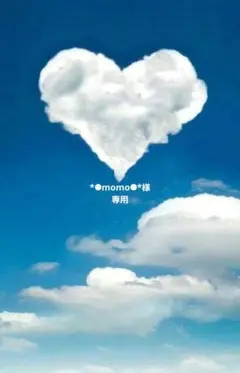 *☻momo☻*様　専用