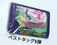 ポケモンフレンダ　ベストタッグ5弾 　スーパートレジャー　ジガルデ