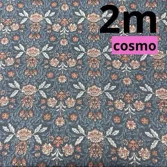 Item thumbnail for item 8dcbdca2-d26f-4e6d-a3d6-e2f14f21347f