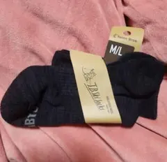 Item thumbnail for item b612bce9-64dc-4622-b693-88a902fb49ae