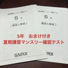 2026年最新】サピックス 5年 マンスリー確認テストの人気アイテム