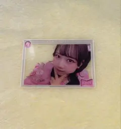 モ*カ様 FRUITSZIPPER 松本かれん クリアトレカ