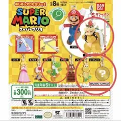 スーパーマリオ　めじるしアクセサリー2 4点セット　クッパ　ヨッシー マリオ