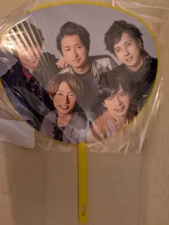 嵐 Are You Happy? コンサート ミニうちわ