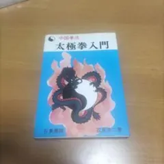 中国拳法 太極拳入門 笠尾恭二著 日東書院
