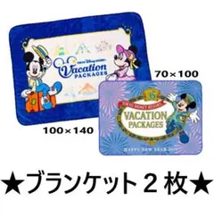 ディズニー　アメニティ　ブランケット　年越し