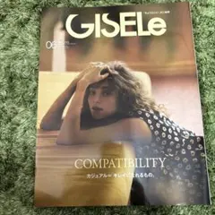 GISELe 06号 COMPATIBILITY
