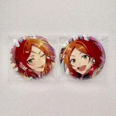 【20日午前中発送】あんスタ 2wink 葵 ひなた 葵 ゆうた コレ缶