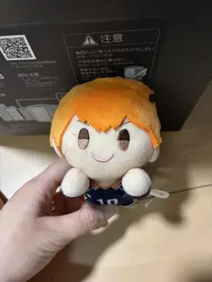 日向翔陽 ぬいぐるみ 約15cm