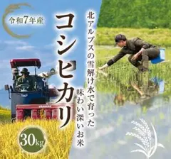 令和7年長野県安曇野市産コシヒカリ 白米27kg(玄米30kgを精米) - メルカリ