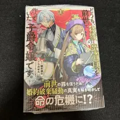 どうも、前世で殺戮の魔道具を作っていた子爵令嬢です。1