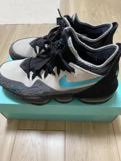 atmos × Nike LeBron 16 "Clear Jade"