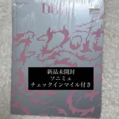 スキズ doit 未使用チェックインマイル付き　 straykids ソニミュ