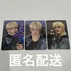 &TEAM BTL ROAR トレカ JO ジョウ