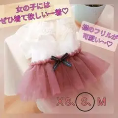 Item thumbnail for item eb1e5324-834a-4775-965d-5f94a58608d9