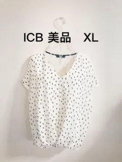 ICB美品 希少総柄シフォンブラウス Vネック 半袖 オンワード樫山XLのサムネイル
