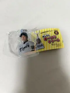 阪神タイガース　ガチャガチャ　めじるしオーロラチャーム　才木浩人選手