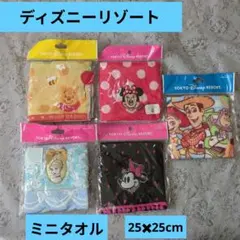 ディズニーリゾート　ミニタオル25cm✖25cm 未使用