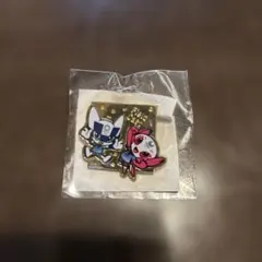 東京オリンピック 東京五輪 フィールドキャスト ボランティア