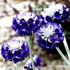 よーこ様 リクエスト 2点 まとめ商品