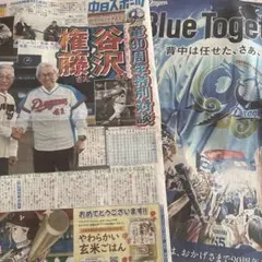 Item thumbnail for item 834e228d-26d5-4495-8a7b-cb2d7107d99c