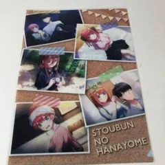 今夜、秘密のキッチンで 非売品 高杉真宙 木南晴夏 - メルカリ