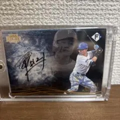 北海道日本ハムファイターズ スポーツカード