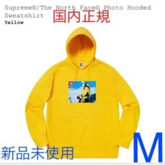 【国内正規】Supreme x The North Face Hooded