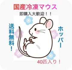2025年最新】冷凍マウス ホッパーの人気アイテム - メルカリ