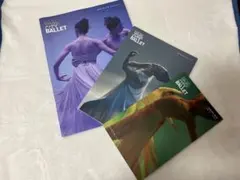 New York City Ballet ニューヨークシティバレエ　DM 冊子