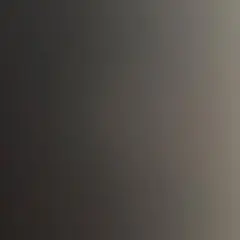 1111