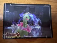 ポケモンコロシアム ダブルバトルカードe+ メガニウム