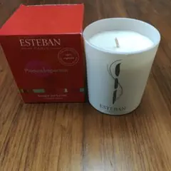 値下げ!!ESTEBAN 　ピボワンヌ　アンベリアル　フロストキャンドルのサムネイル