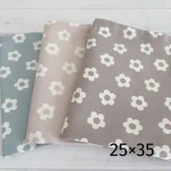 ハンドメイド　25×35 ランチョンマット　女の子　小さめ　幼稚園