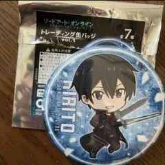 SAO Echoes of Aincrad 限定版 特典 缶バッジ カル - メルカリ