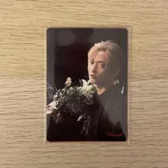 トリンプ 佐藤新 IMP. メッセージカード 2枚 トレカ