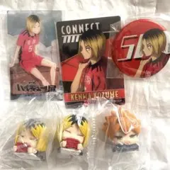 ハイキュー!! 孤爪研磨 日向翔陽　ガチャ　クリアカード　缶バッジ