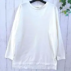 INED / イネド レイヤード風デザイン クルーネックロングTシャツ サイズ9