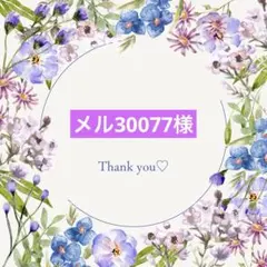 メル30077様 リクエスト 2点 まとめ商品